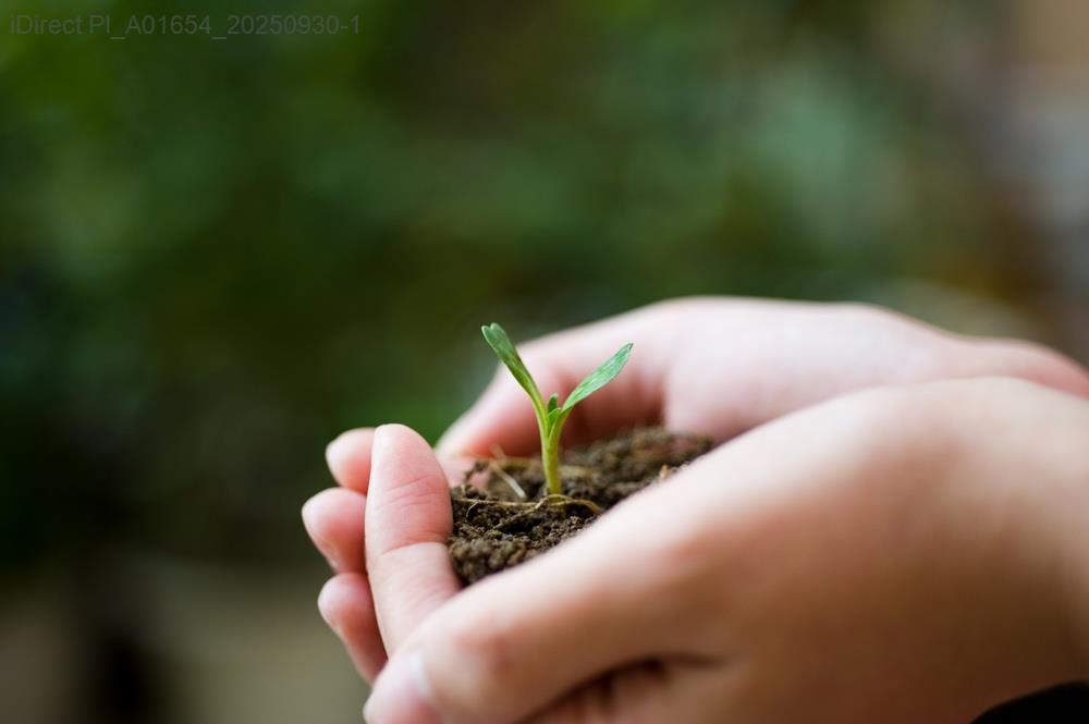 心理健康課程價格評比：5個必知選擇秘訣！